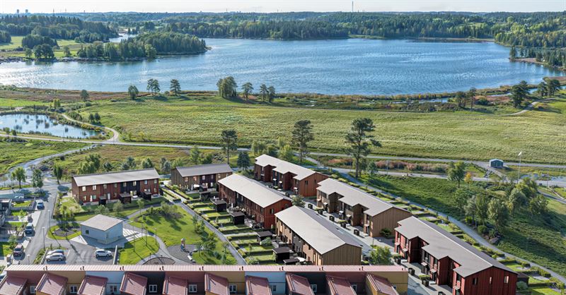 Sjöstråket.jpg