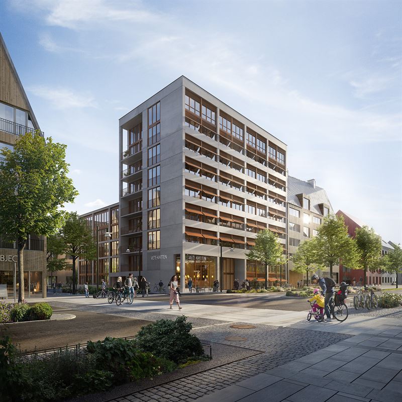 RAW Rosendal rendering.jpg
